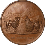 Great Britain, The Poodle Cub Æ Medallion. 1905.