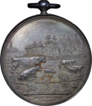 Great Britain, Manchester & Liverpool Agricultural Society AR Award Medallion. 1859.