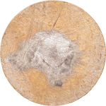 USA. Hard Times CU 1 Cent token. 1860-70. 