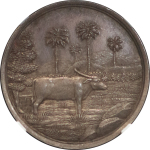Ceylon. Colombo, Agri Horticultuiral Society AR Medallion. Circa 1890-1900.