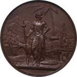 New Zealand. First New Zealand Ehibition Æ Medallion. 1865. 