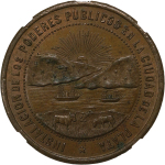 ARGENTINA, Dardo Rocha CU Medallion. 1884.