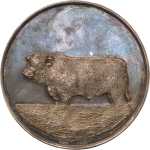 Great Britain. Scottish Shorthorn Cattle Association AR Champion Breeders Medal. 1953. 