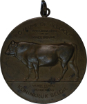 Belgium. Antwerp Æ Medallion "Belgium Agricultural Society award for Breed of Cow". 1909.