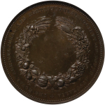 Australia. South Australia Æ Medallion. 1880.