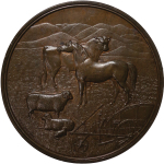 Australia. South Australia Æ Medallion. 1880.