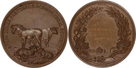 Australia. Peak Downs Æ Medallion for Best Ewe in the Pastoral and Agricultural Show. 1879.