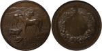 Australia. South Australia Æ Medallion. 1880.