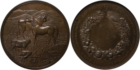 Australia. South Australia Æ Medallion. 1880. 