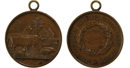 Australia. Albury & Border Æ Show Medal. 1910. 