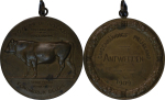 Belgium. Antwerp Æ Medallion "Belgium Agricultural Society award for Breed of Cow". 1909.