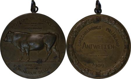 Belgium. Antwerp Æ Medallion "Belgium Agricultural Society award for Breed of Cow". 1909.