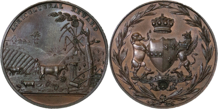Great Britain/ Colonial. Victoria Æ Medal for Agriculture Reward. Circa 1878-1887.