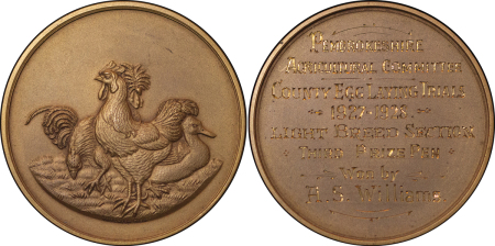 Great Britain. Pembrokeshire Æ Prize Medal. 1927-1928.