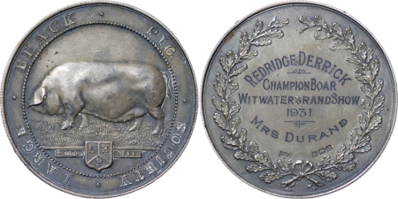 South Africa. George V AR Rand Show Silver Award Medal. 1931. 