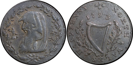 Great Britain, North Wales. Druid CU Halfpenny Token. 1793. 