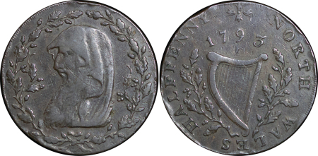 Great Britain, North Wales. Druid CU Halfpenny Token. 1793. 