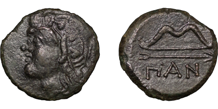 Greece,Cimmerian Bosphorus. Pantikapaion Æ 17mm. Circa 325-310BC.