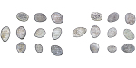 Russia, Empire. Peter I & Ivan IV lot of 10x AR Wire Money Kopeks. 1535-1700.
