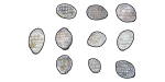 Russia, Empire. Peter I & Ivan IV lot of 10x AR Wire Money Kopeks. 1535-1700.